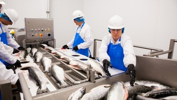 Morrisons will double its fish production capacity with the new site