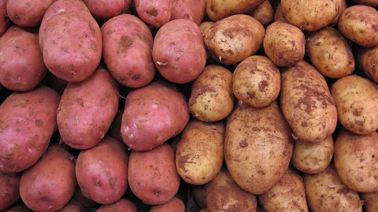 Potato firm fined £3,000 for food safety offences