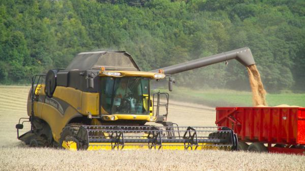 GM cereals and oilseeds could harvest a range of benefits, the report claims