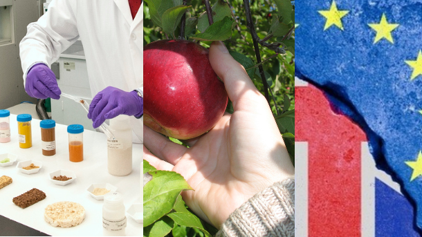 The IFST has set out three key priorities, Food science education, Sustainable food system and Brexit