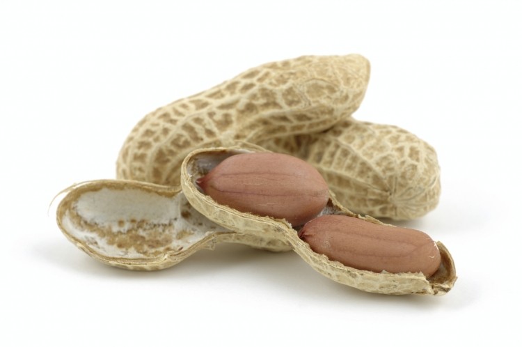 Peanut traces found in Tesco children's biscuits