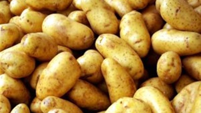 One Scottish firm has been fined £2,000 for supplying staff to a potato processing and packaging plant without a gangmaster’s licence