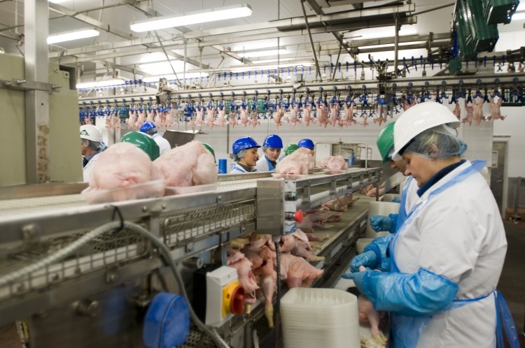 2 Sisters will invest in its poultry business following a drop in sales and profit 