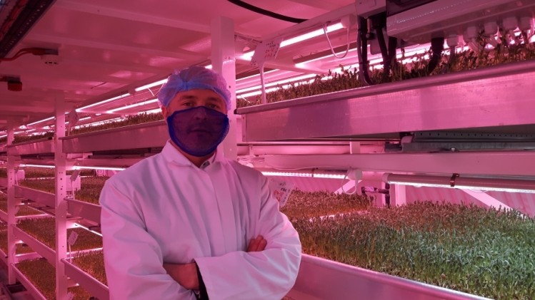Subterranean salad producer Steven Dring says the future for urban salad production lies below city streets