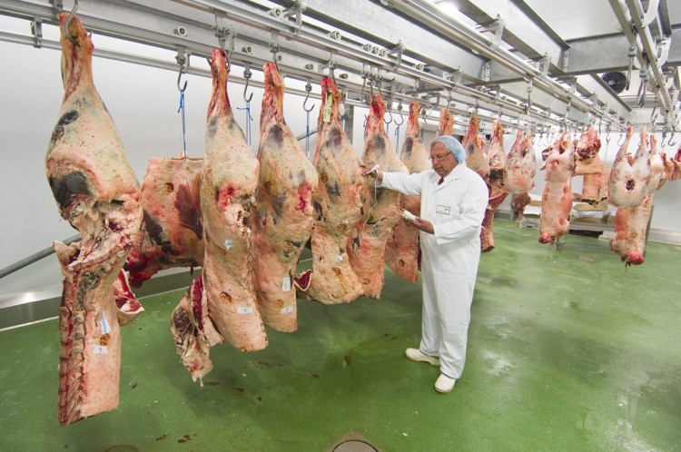 Appeals procedure agreed for abattoir disputes with official vets