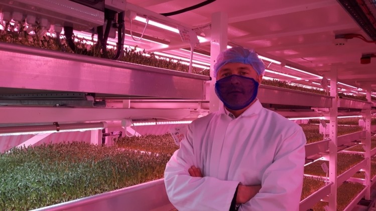 Growing Underground co-founder Steven Dring in his subterranean salad farm below London streets