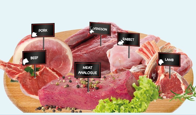 UK sales of meat substitutes are predicted to increase by a quarter in five years