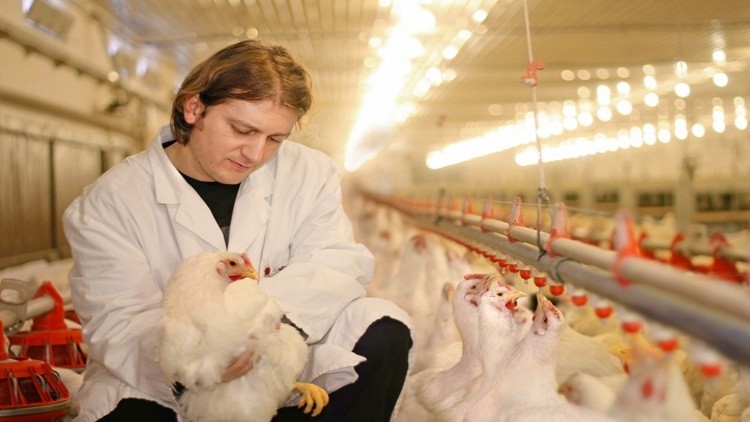 A new apprenticeship scheme for the poultry sector has been launched