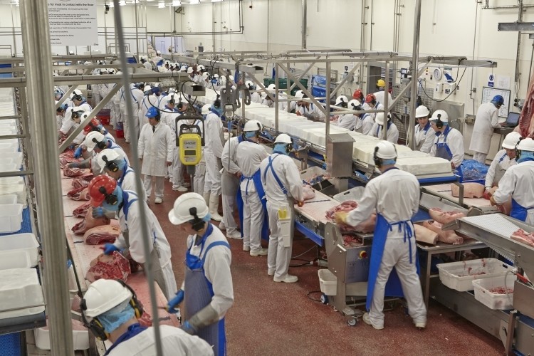The meat industry is particularly reliant on migrant labour
