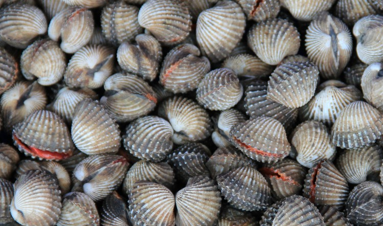 Three Lithuanian men have been fined for gangmaster offences in the seafood sector 