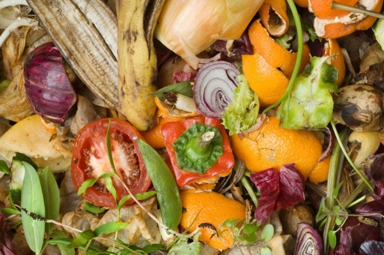 An estimated 1.8 million tonnes of food waste annually comes from food manufacture