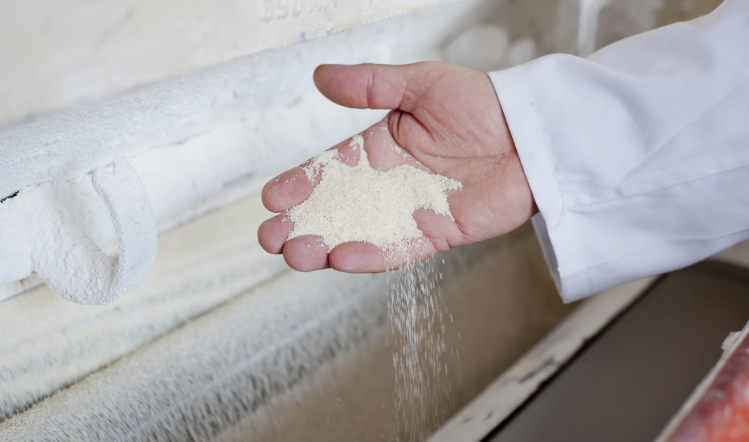 Food safety body increases dust inspections 