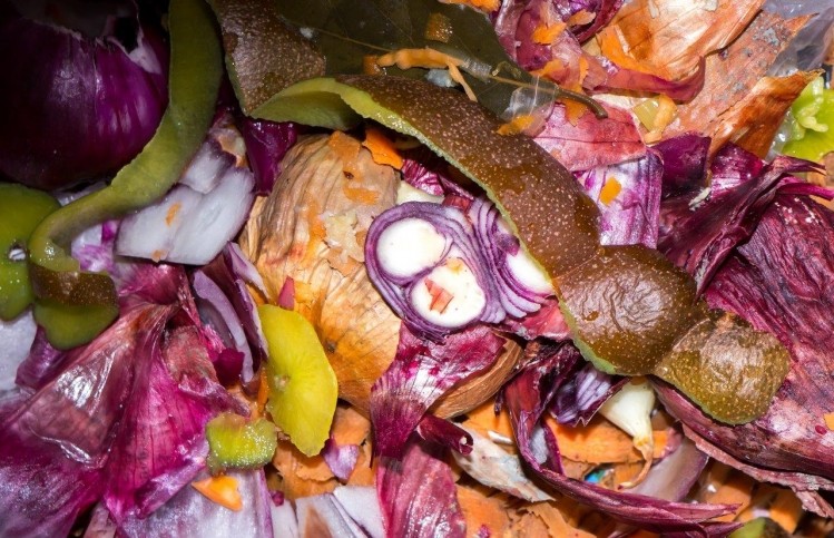Food waste in the UK totals 10mt every year