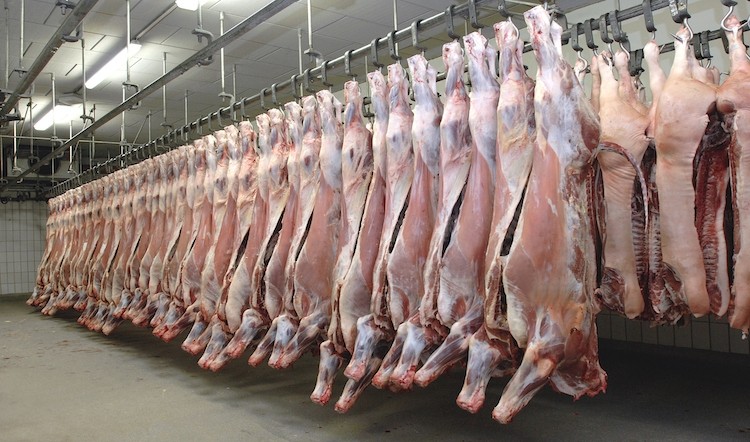 Small abattoirs should be given financial assistance