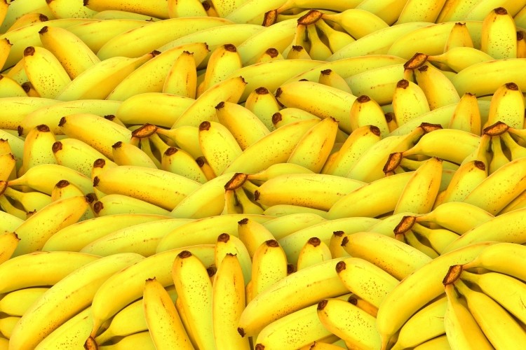 Winfresh UK distributes bananas to major supermarkets. Image by Pete Linforth from Pixabay