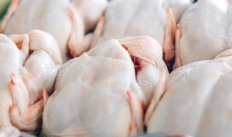 The poultry plant is the latest to be impacted by coronavirus cases