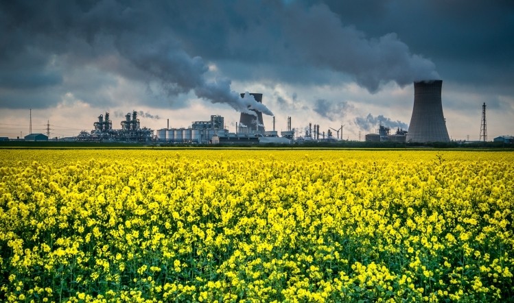 Rapeseed oil waste offers green alternative to petroleum