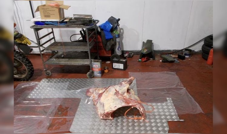 An illegal meat firm has been fined £150k for hygiene offences