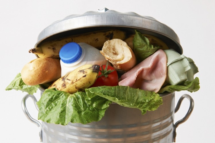 Turning food waste into alternative proteins could help solve the global hunger crisis