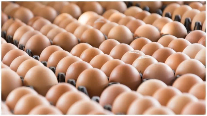 Tariffs on battery farmed eggs are set to be phased out over the next 10 years