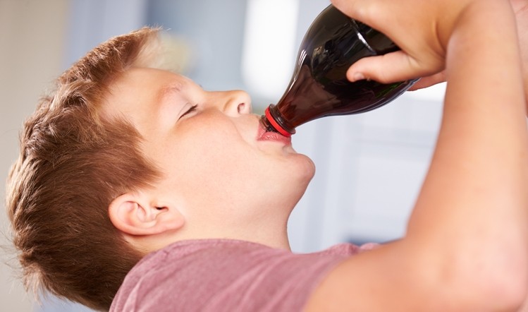 MPs have called for the Soft Drinks Industry Levy to be extended