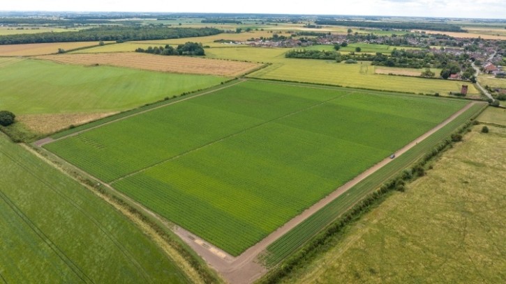Branston is working alongside agritech firm B-hive Innovations, the University of Lincoln, technology firm Crop Systems and fellow potato growers