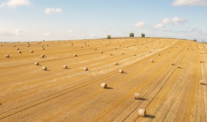 The government's update to the Sustainable Farming Incentive will incentivise land use for the production of food. Image: Getty, Justin Paget