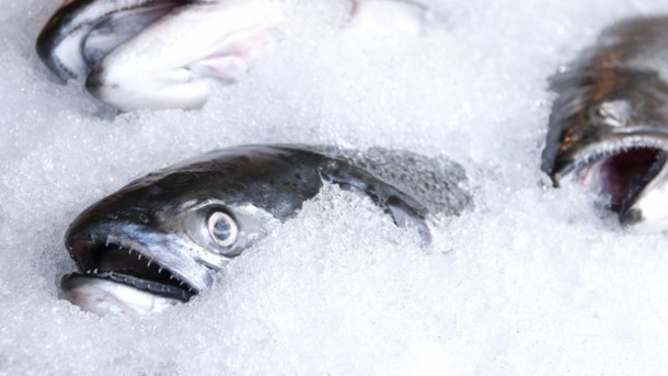 Fish processors are pushing for a trade deal with Noway to maintain consistency for supply 