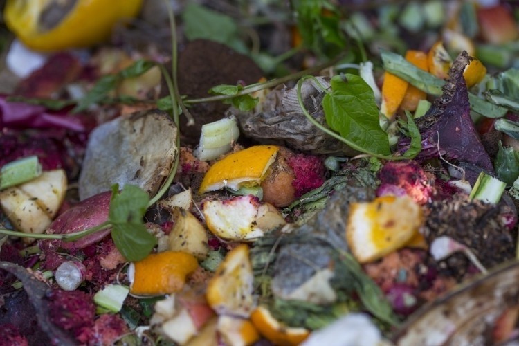The research showed that millennials were the worst for wasting food. 