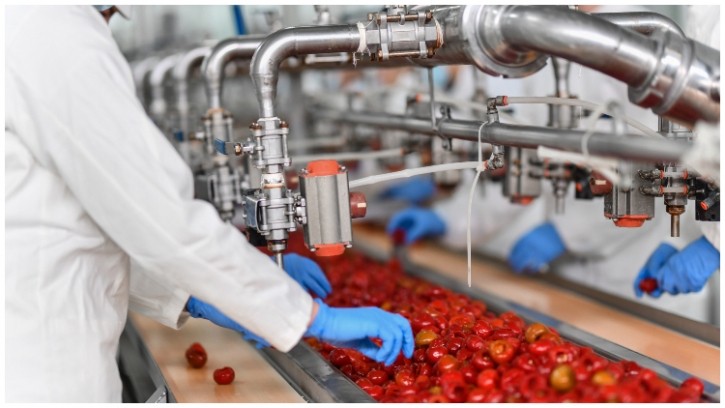 Food processing is here to stay. Credit: Getty / AleksandarGeorgiev