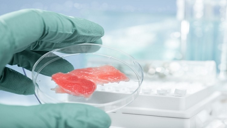 The Adam Smith Institute has suggested that lab grown meat could reduce the pressure on traditional food produce 