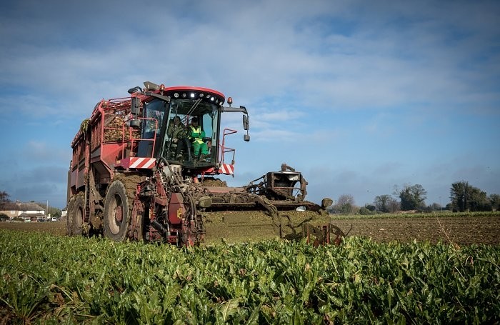 UK sugar beet growers face fierce competition with Europe if their isn't more investment in the industry. Picture from British Sugar