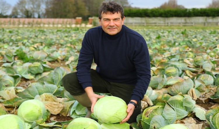 The new facility will produce protein from cabbage