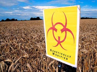 Campaigners claim GM crops are treated with pesticide that harms wildlife