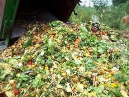 Food waste reduction needs a step-by-step approach: M&S