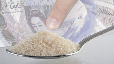 A coalition of businesses leaders, led by the BSDA, is campaigning to block the UK sugar tax on soft drinks
