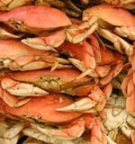 Around 109 jobs will be lost with the closure of the Cromer Crab site in Norfolk