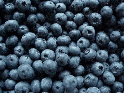 Fruit such as blackberries are rich in polyphenols 