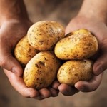 US vegetable processor maximises potato output