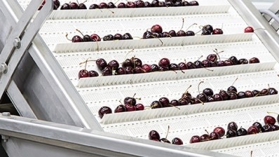 Cherries packed on 'most sophisticated' line