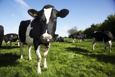 Dairy farmers have been struggling with plummeting milk prices