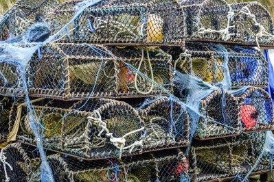 Scotland's seafood industry 'needs assurances over its future funding'