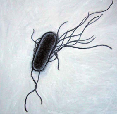 A number of lessons have been learnt from E.coli