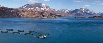 The Scottish Salmon Company aims to open 10 new fish farms
