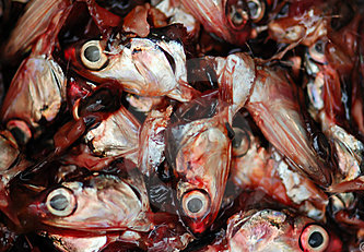 Food fraud: Environmental health officers discovered 207t of frozen salmon heads, tails, bellyflaps and frames 