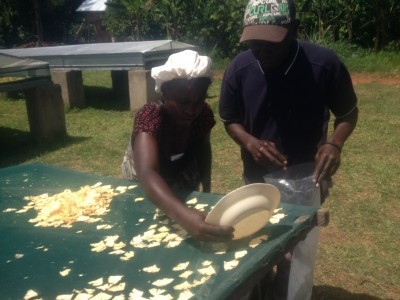 The Grow Movement charity works with food entrepreneurs in Africa 