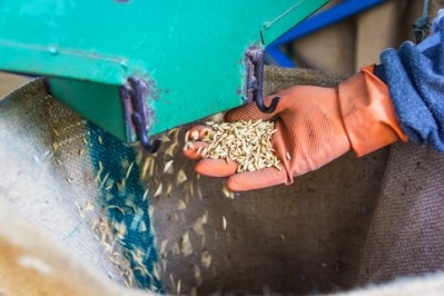 The research into rice processing could help to tackle food waste and nutritional problems