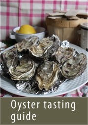 Could UK oysters prove to be the saviour of Europe?