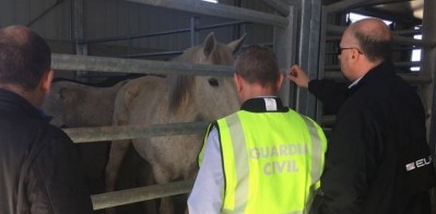 65 were arrested in Spain for planning the illegal sale of horsemeat