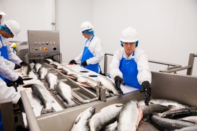 Morrisons will create about 200 new jobs at its new fish processing site